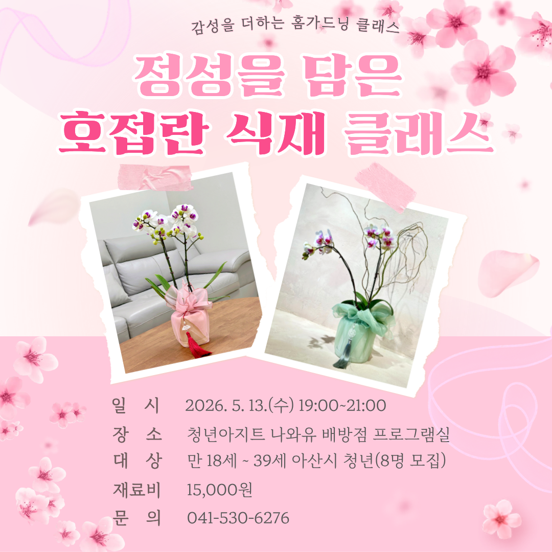 호접란.png